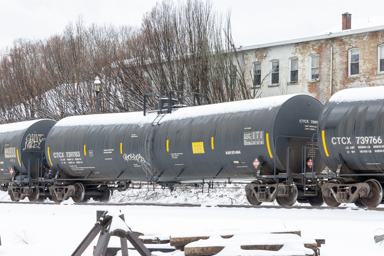 CTCX 739783