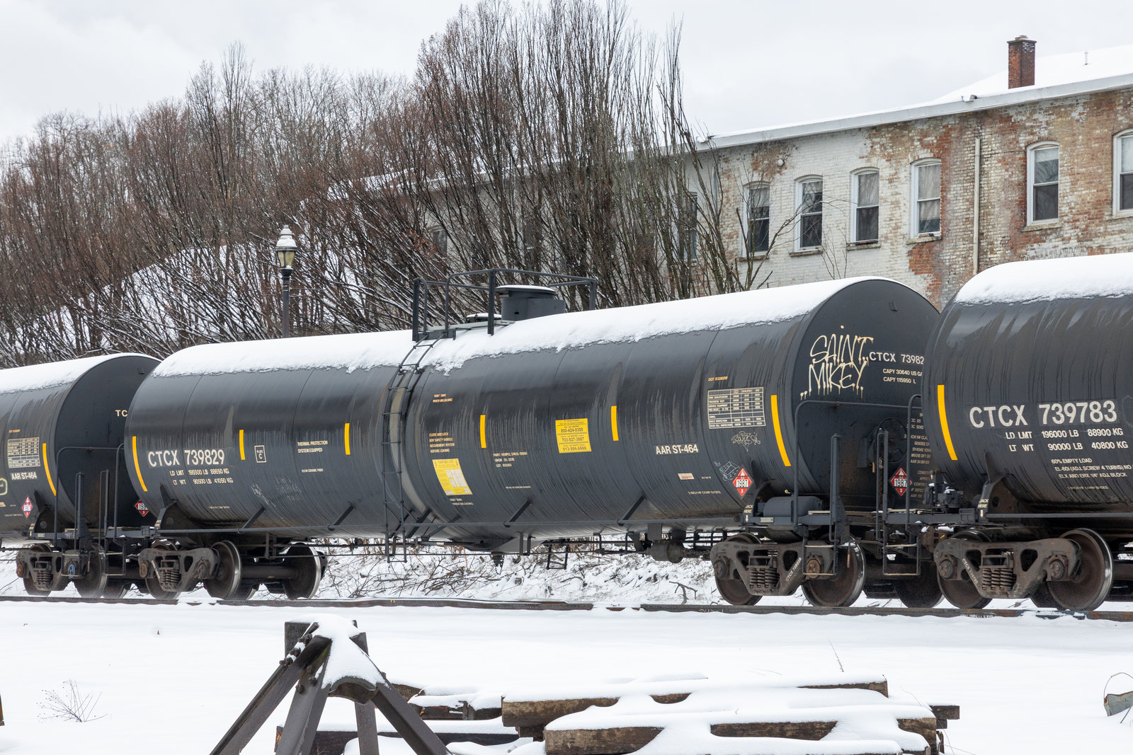 CTCX 739829