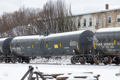 CTCX 739818
