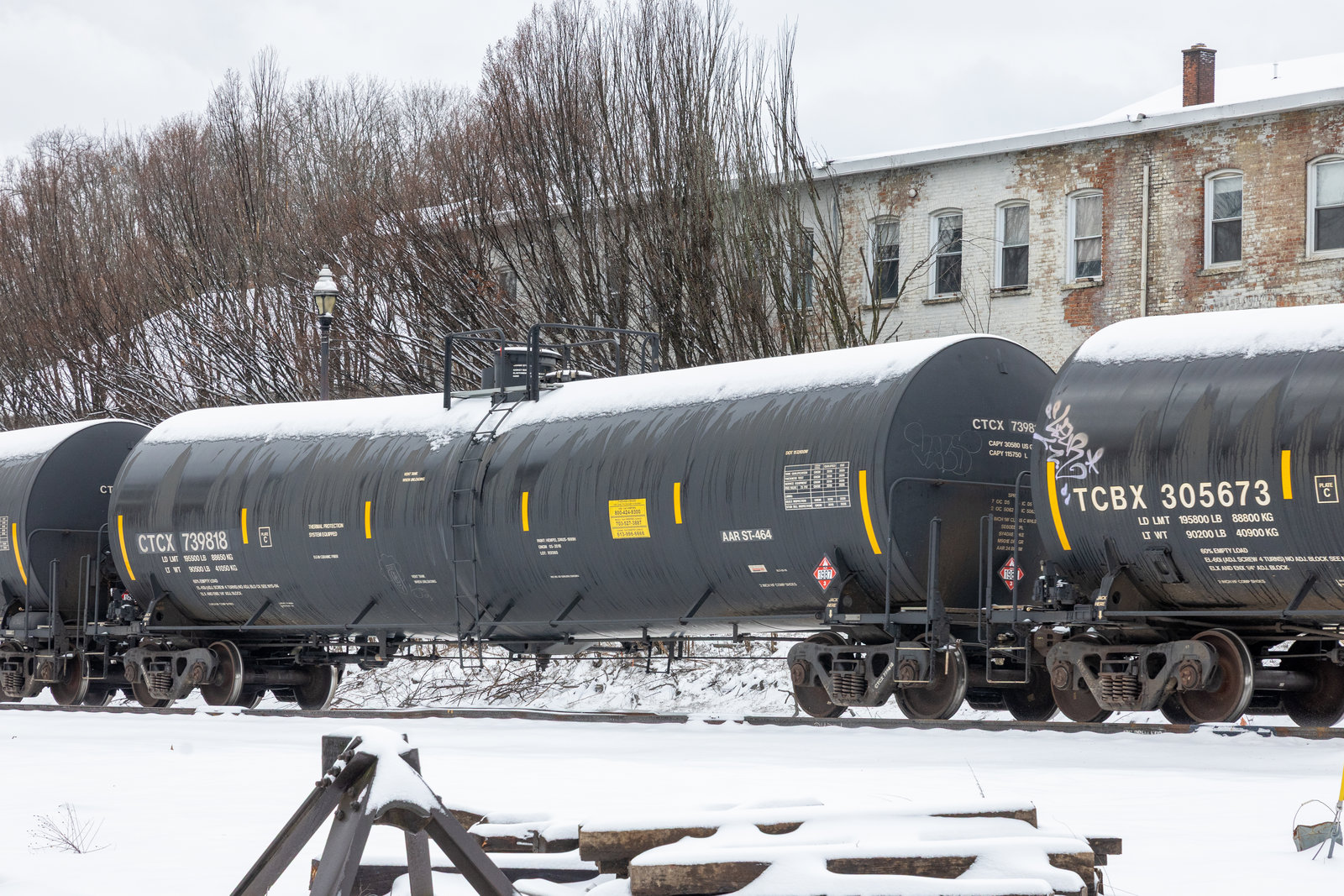 CTCX 739818