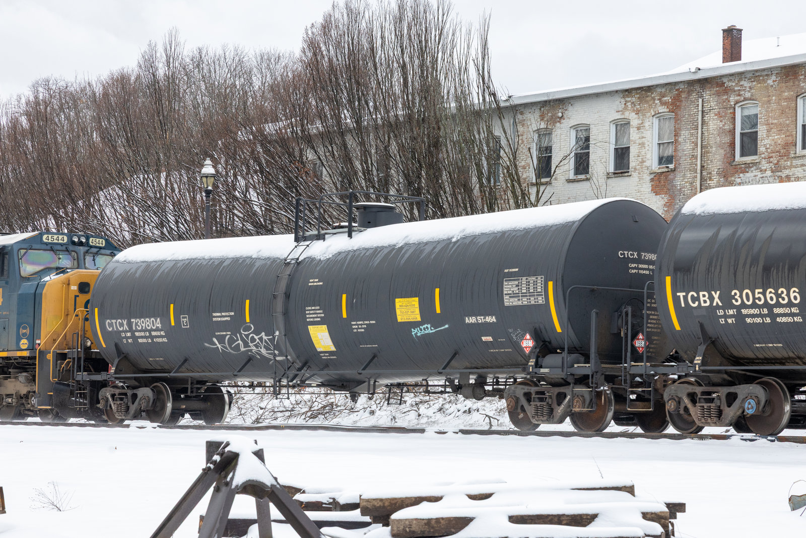 CTCX 739804