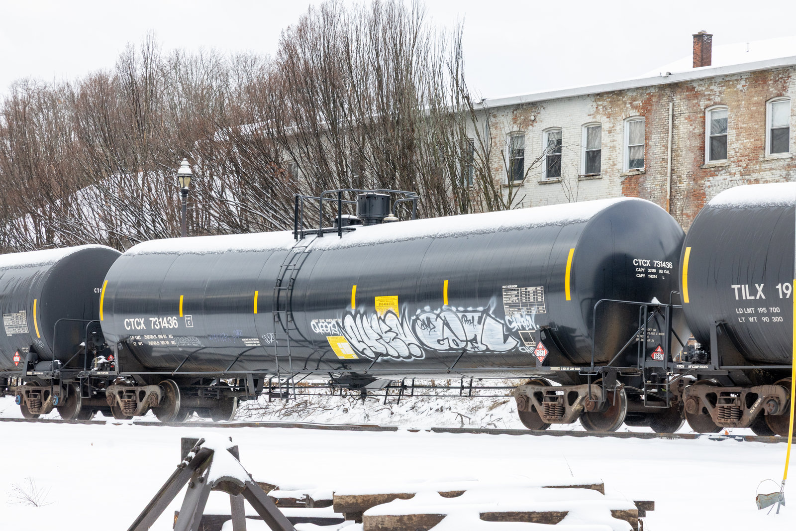 CTCX 731436