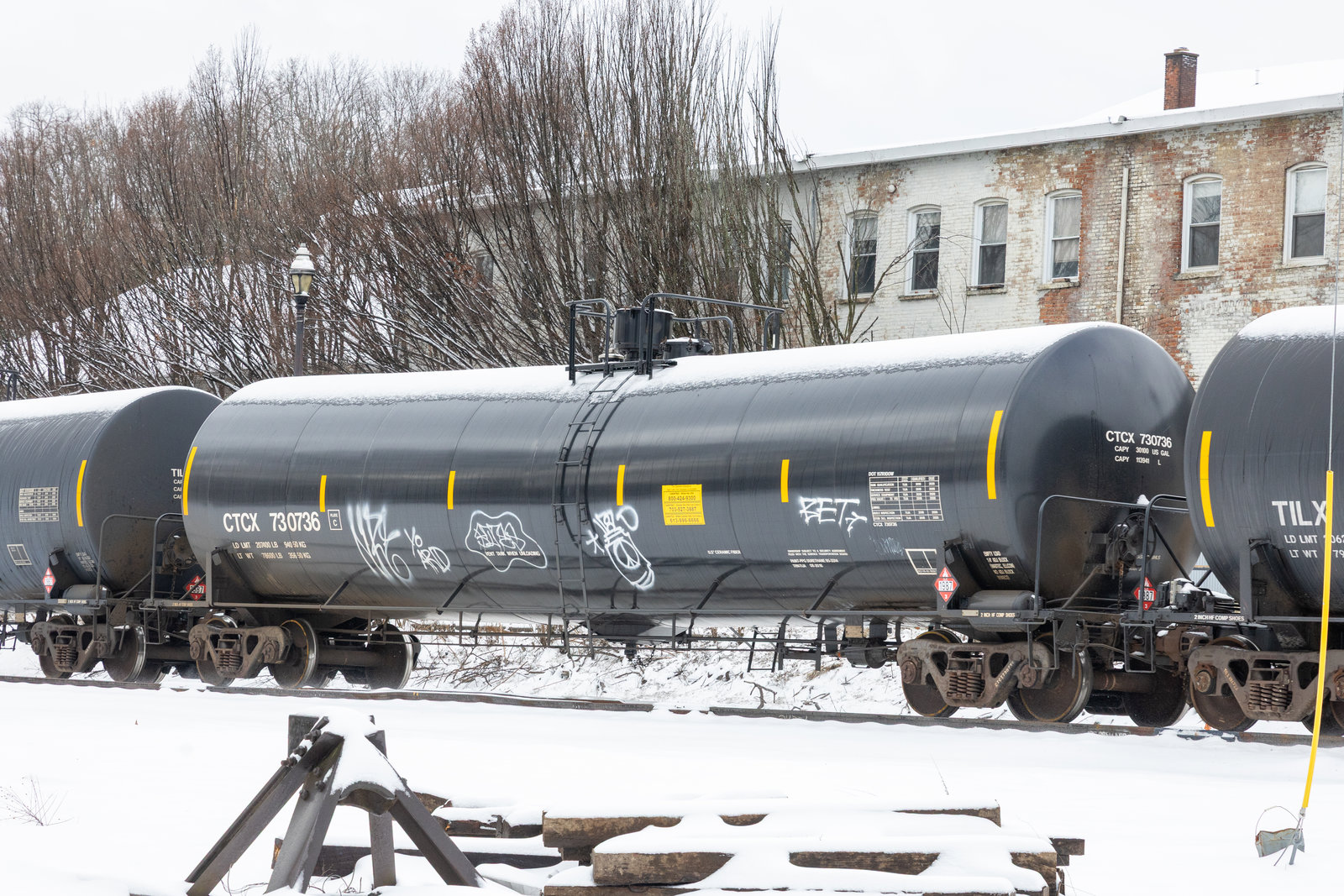 CTCX 730736