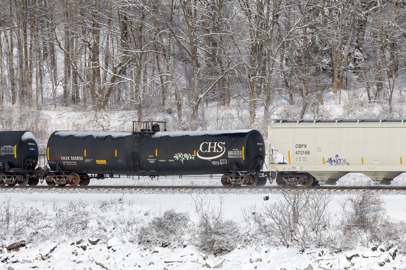 CHSX 255025