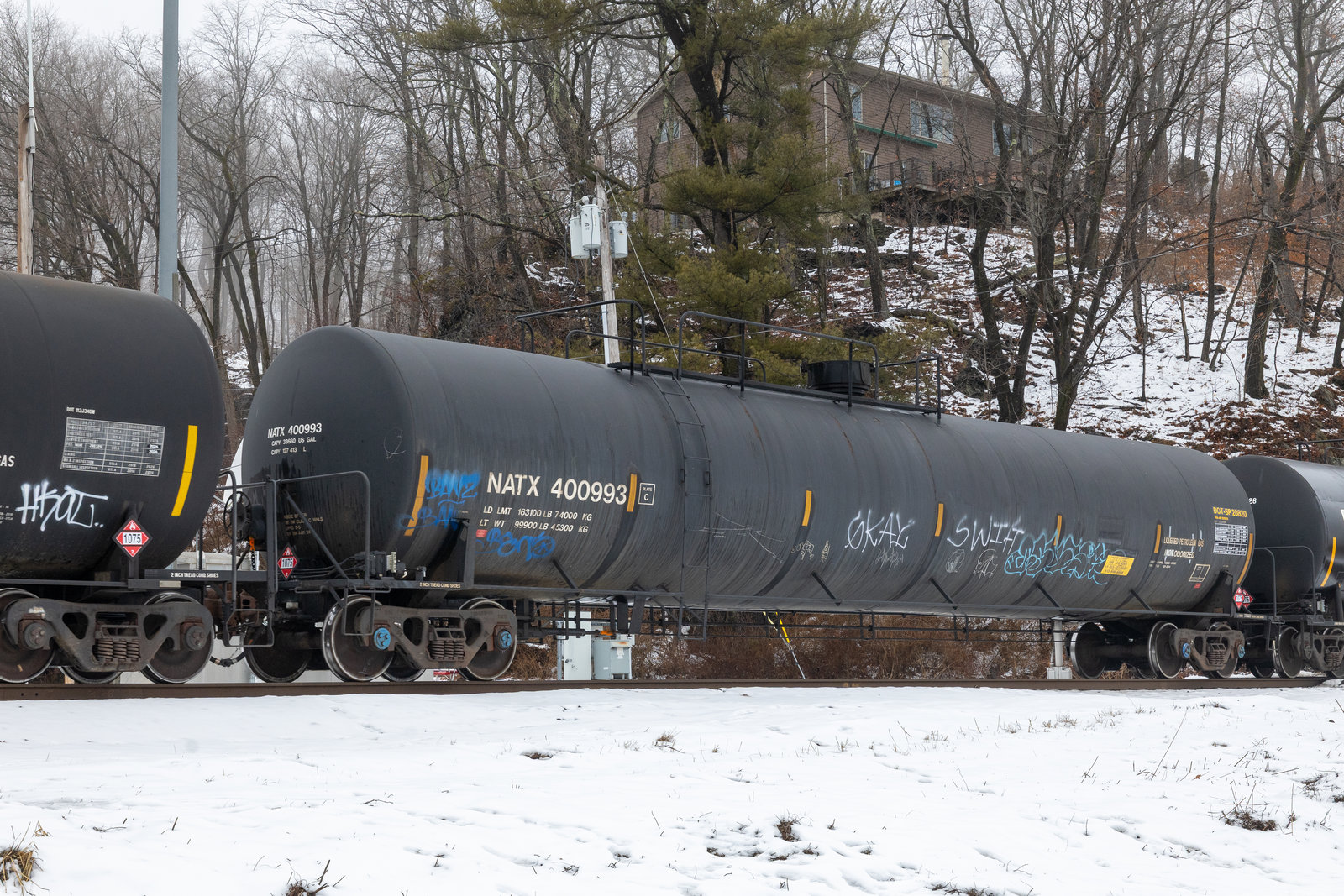 NATX 400993
