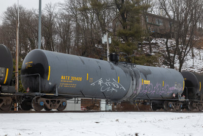 NATX 301406