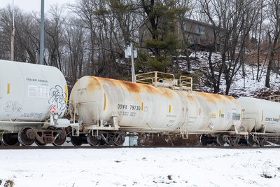 DOWX 79730