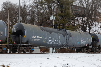 CTCX 301046