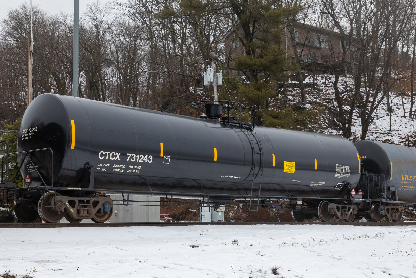CTCX 731243