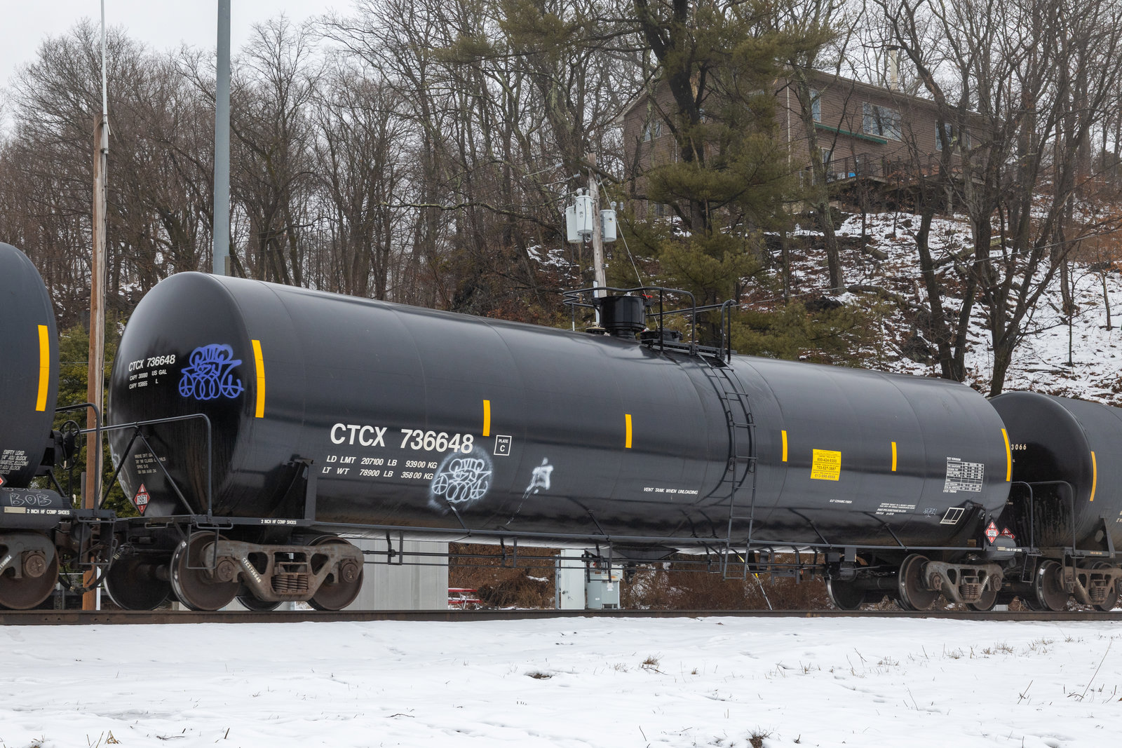 CTCX 736648