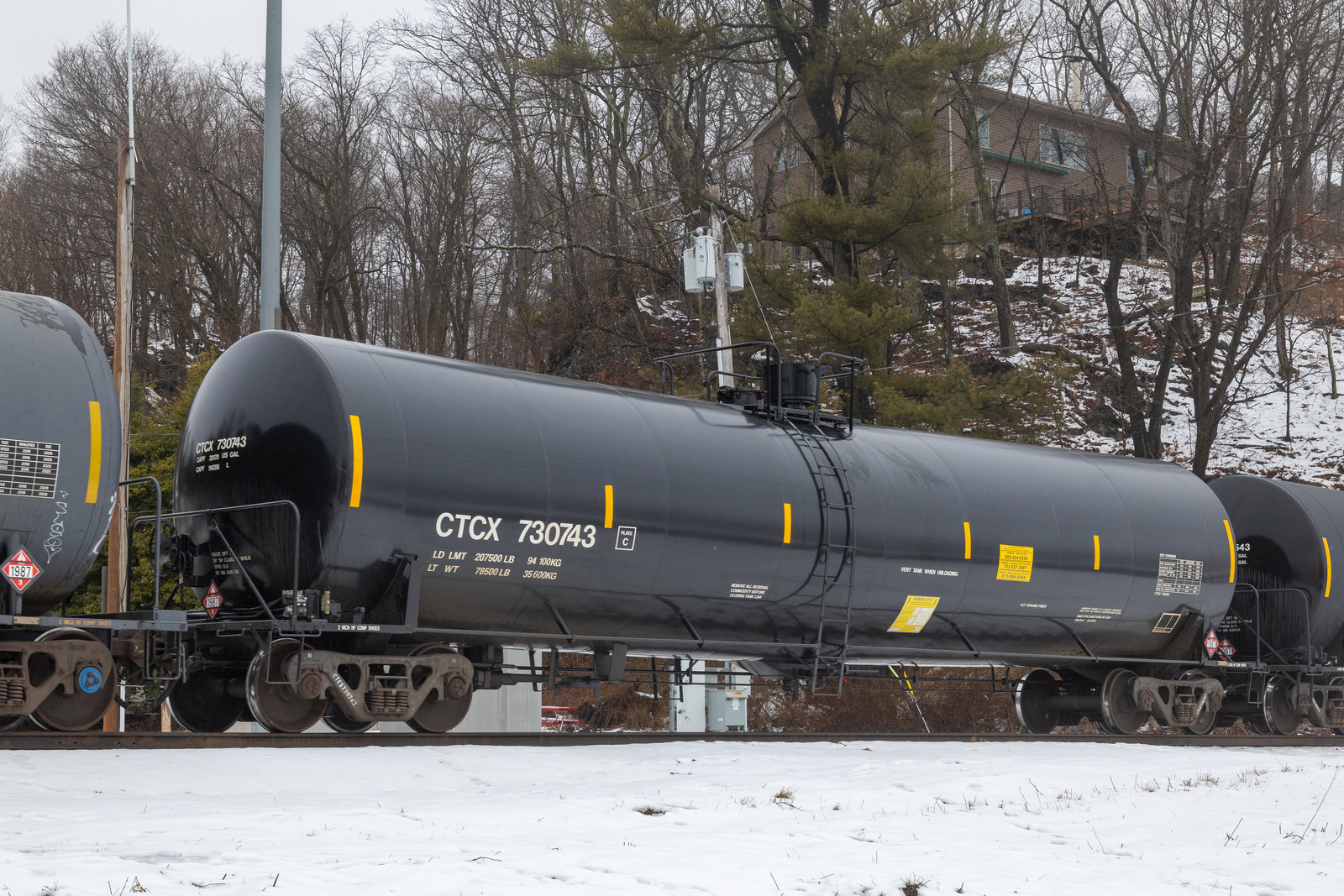 CTCX 730743