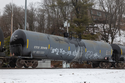 CTCX 301419
