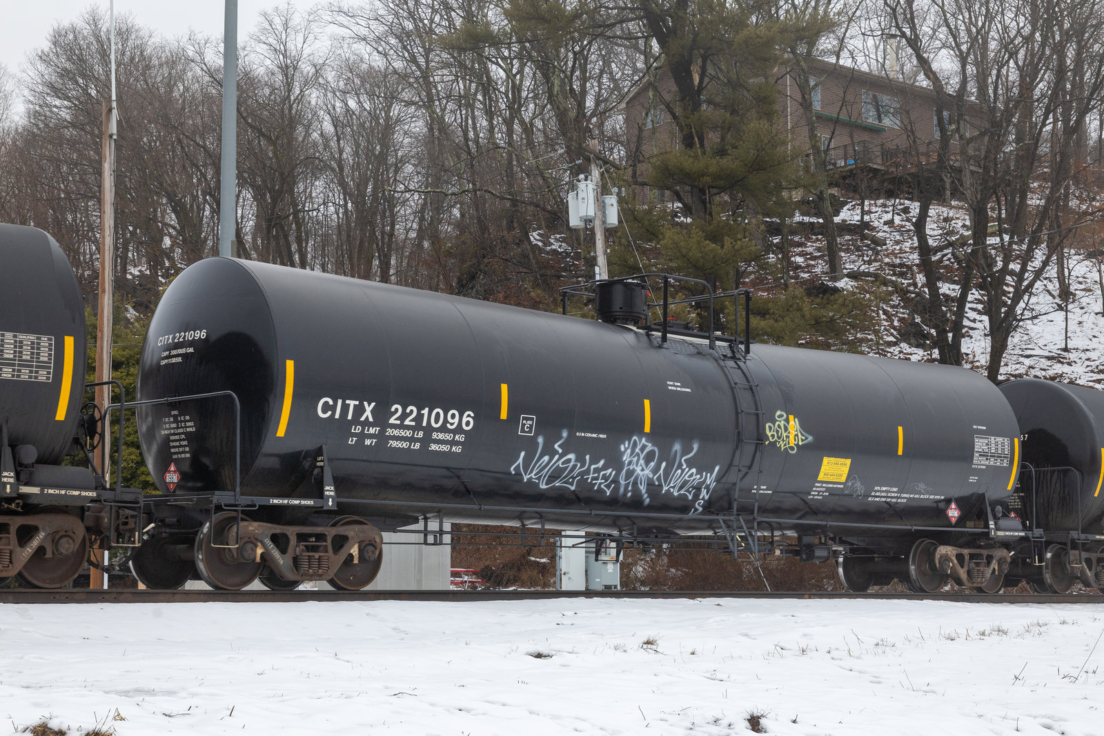 CITX 221096
