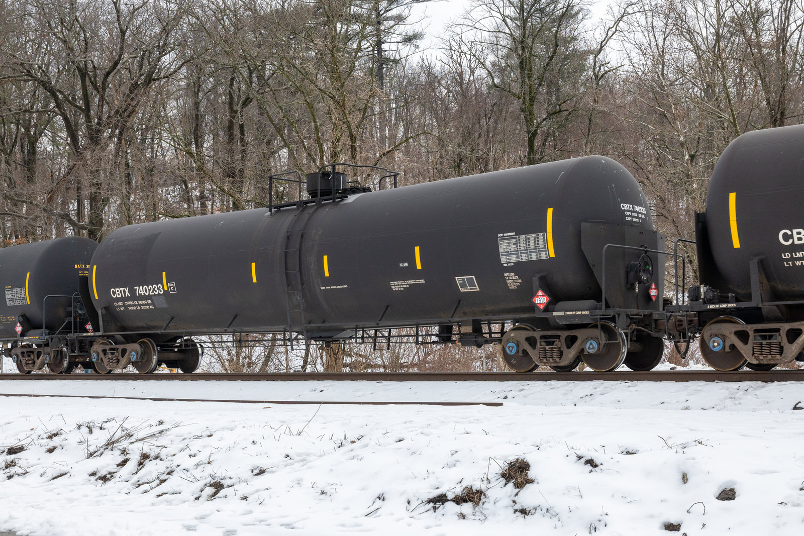 CBTX 740233