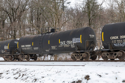 CRDX 200004