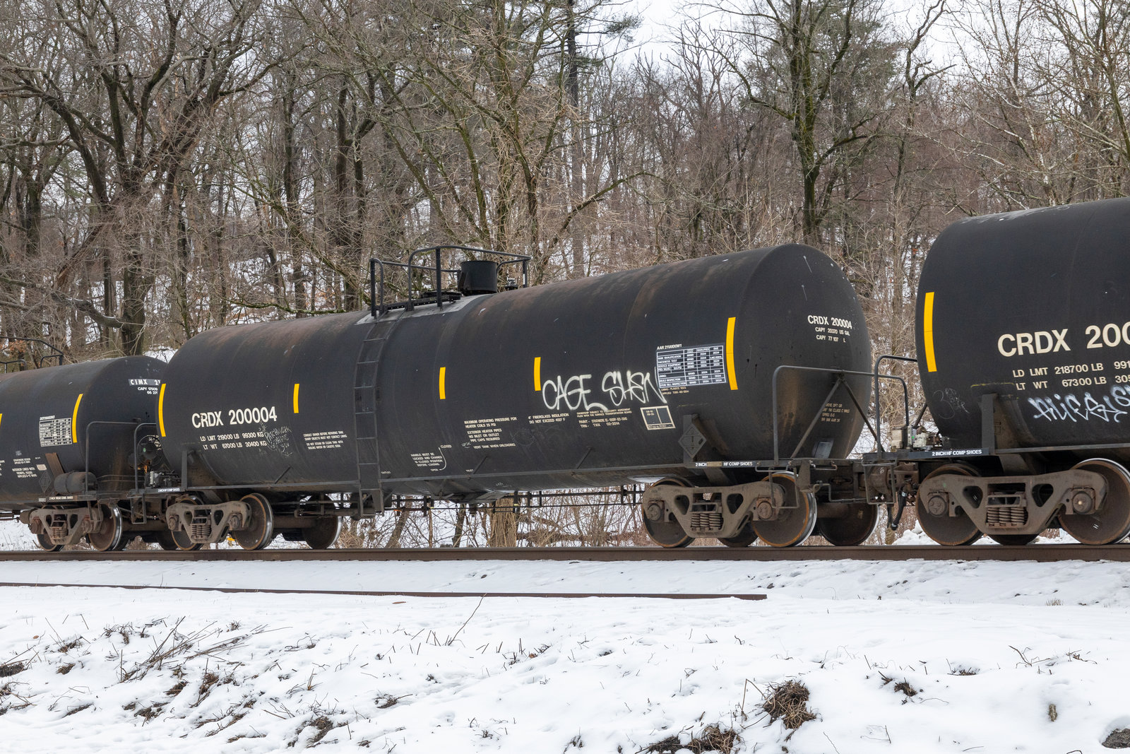 CRDX 200004