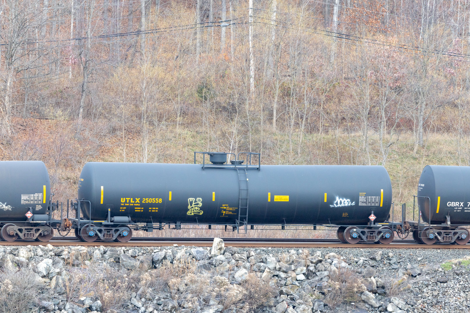 UTLX 250558