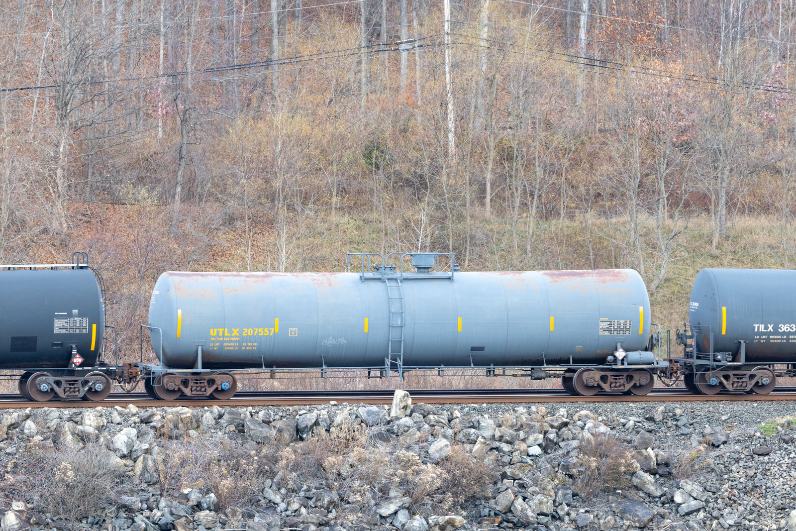 UTLX 207557
