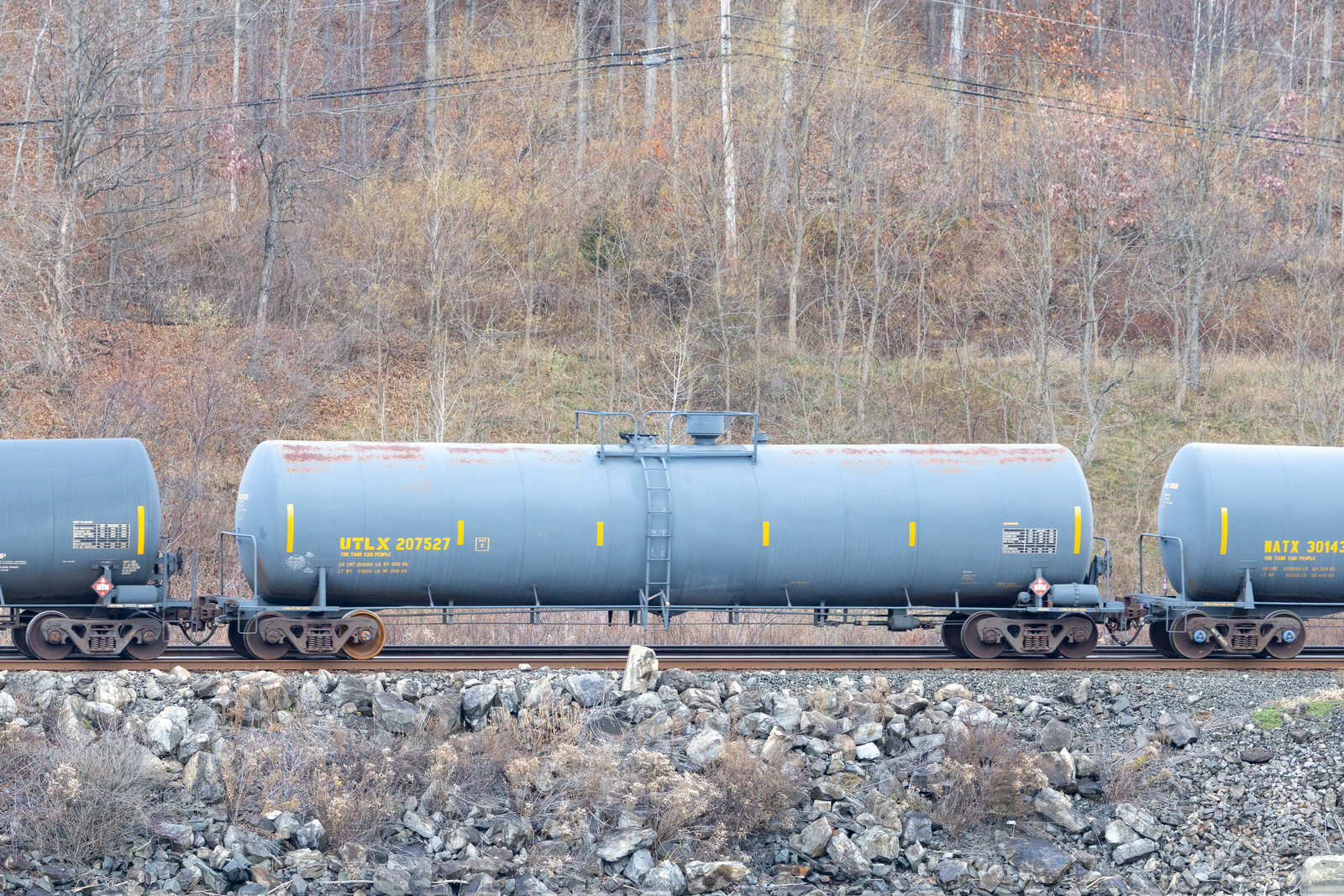 UTLX 207527