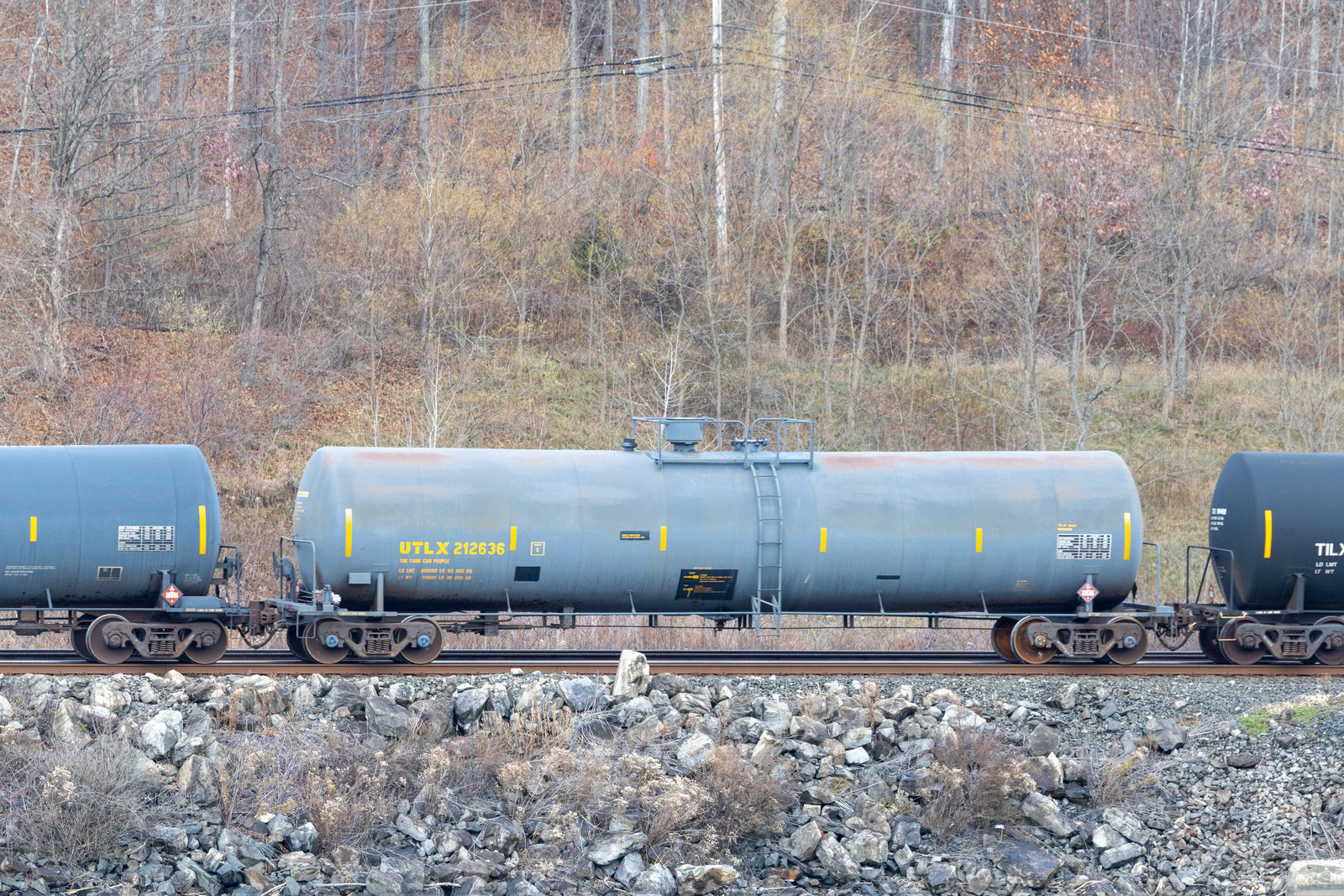 UTLX 212636