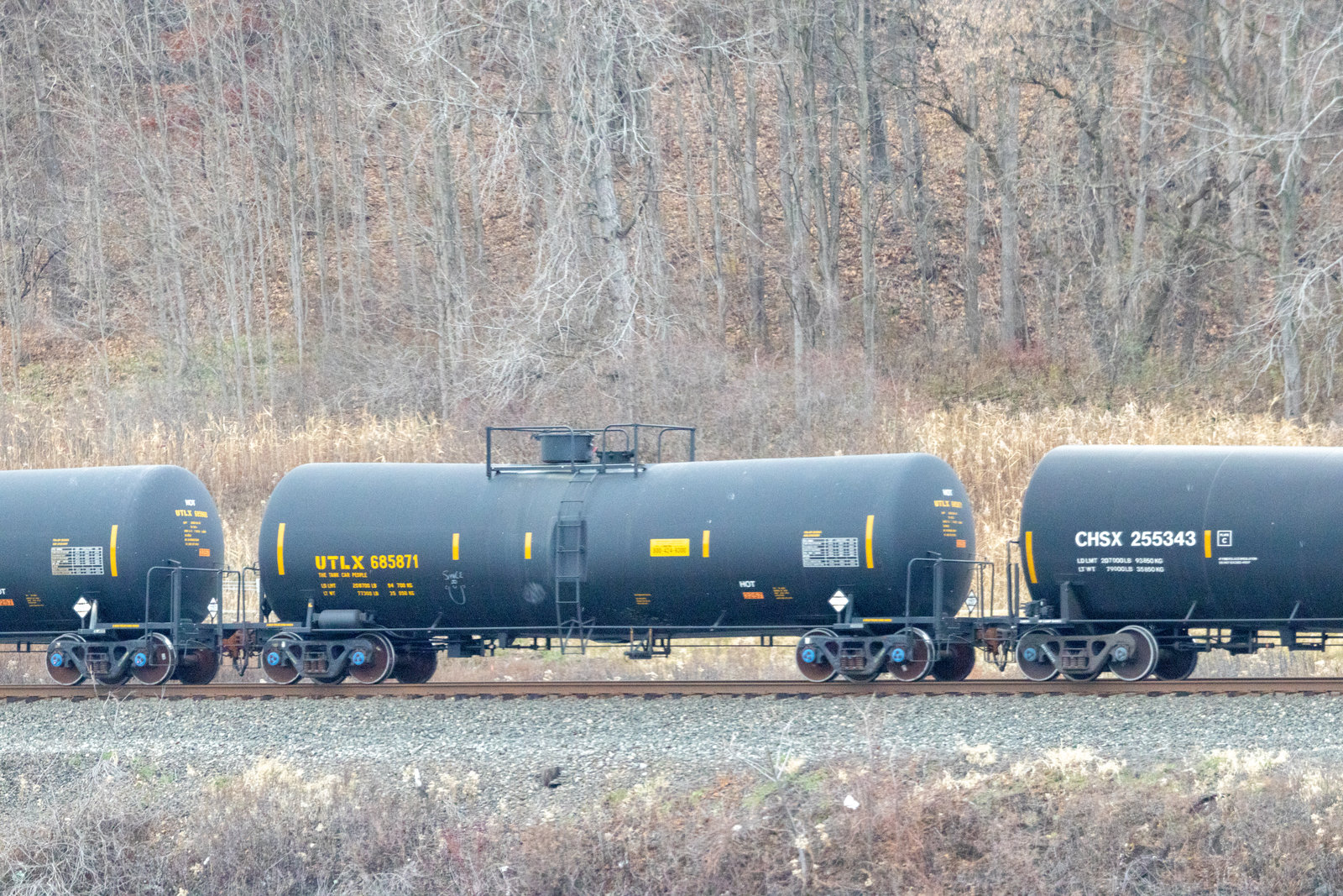 UTLX 685871
