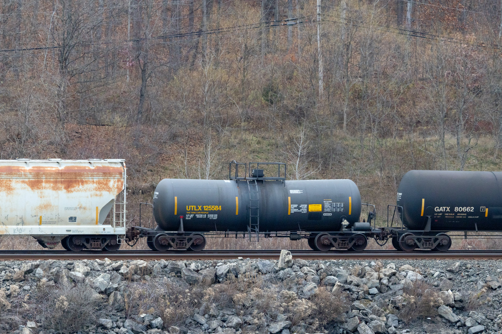 UTLX 125584