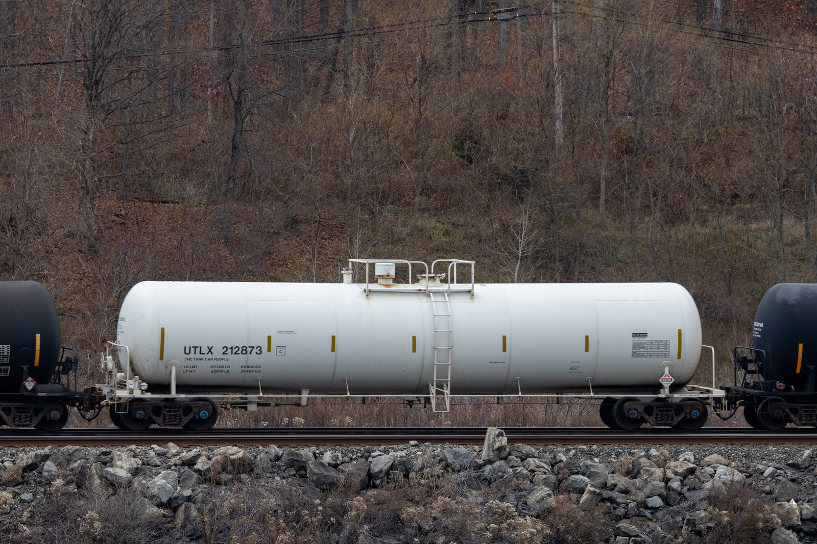 UTLX 212873