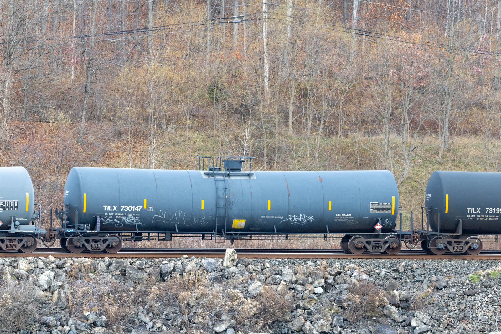 TILX 730147