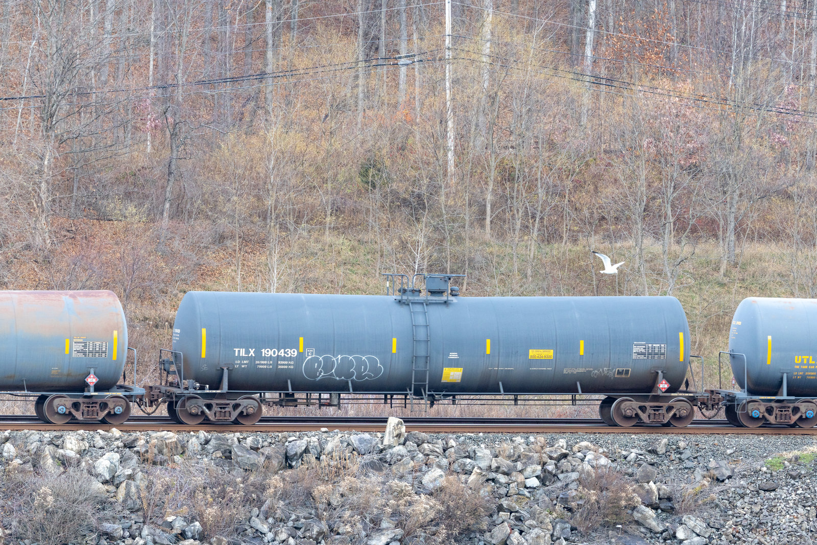 TILX 190439