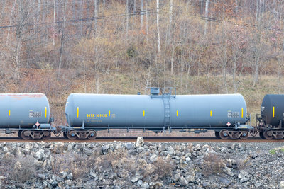 NATX 301439