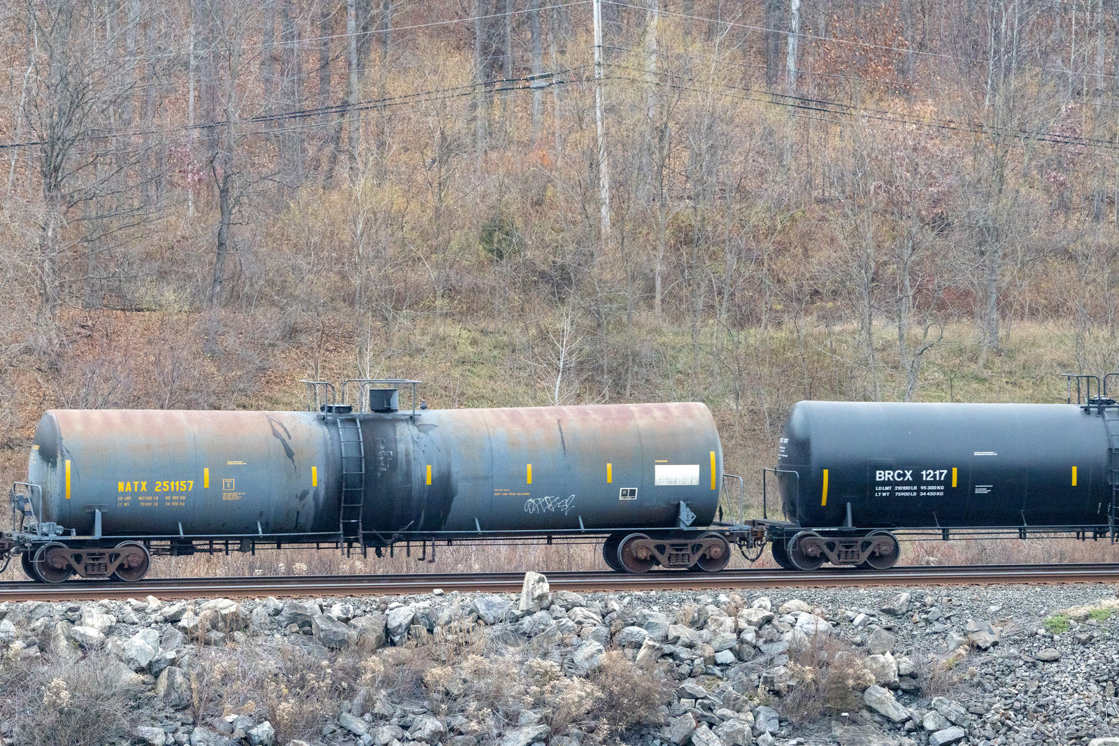 NATX 251157