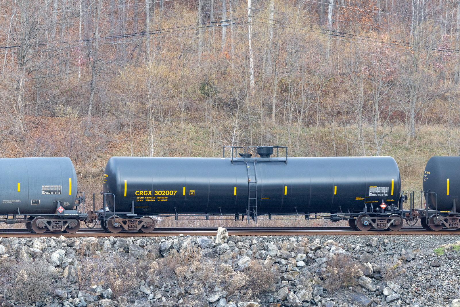CRGX 302007