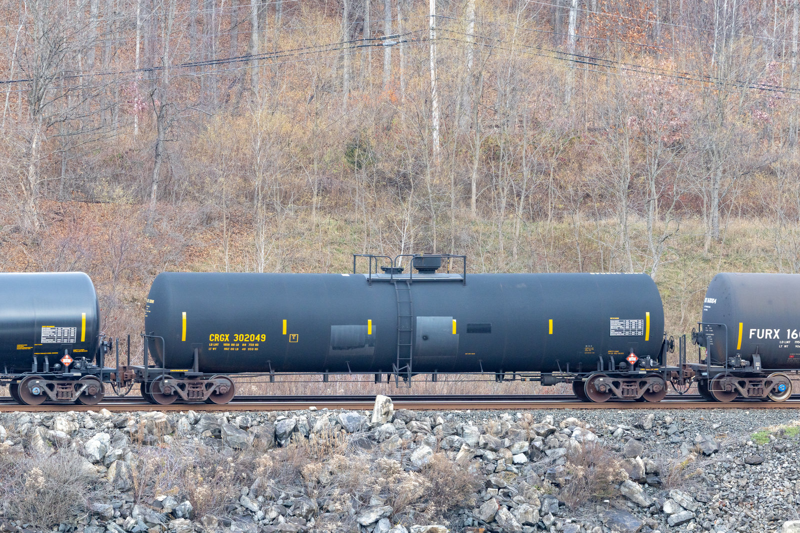 CRGX 302049