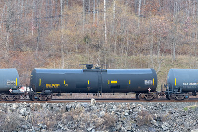 CRGX 302009