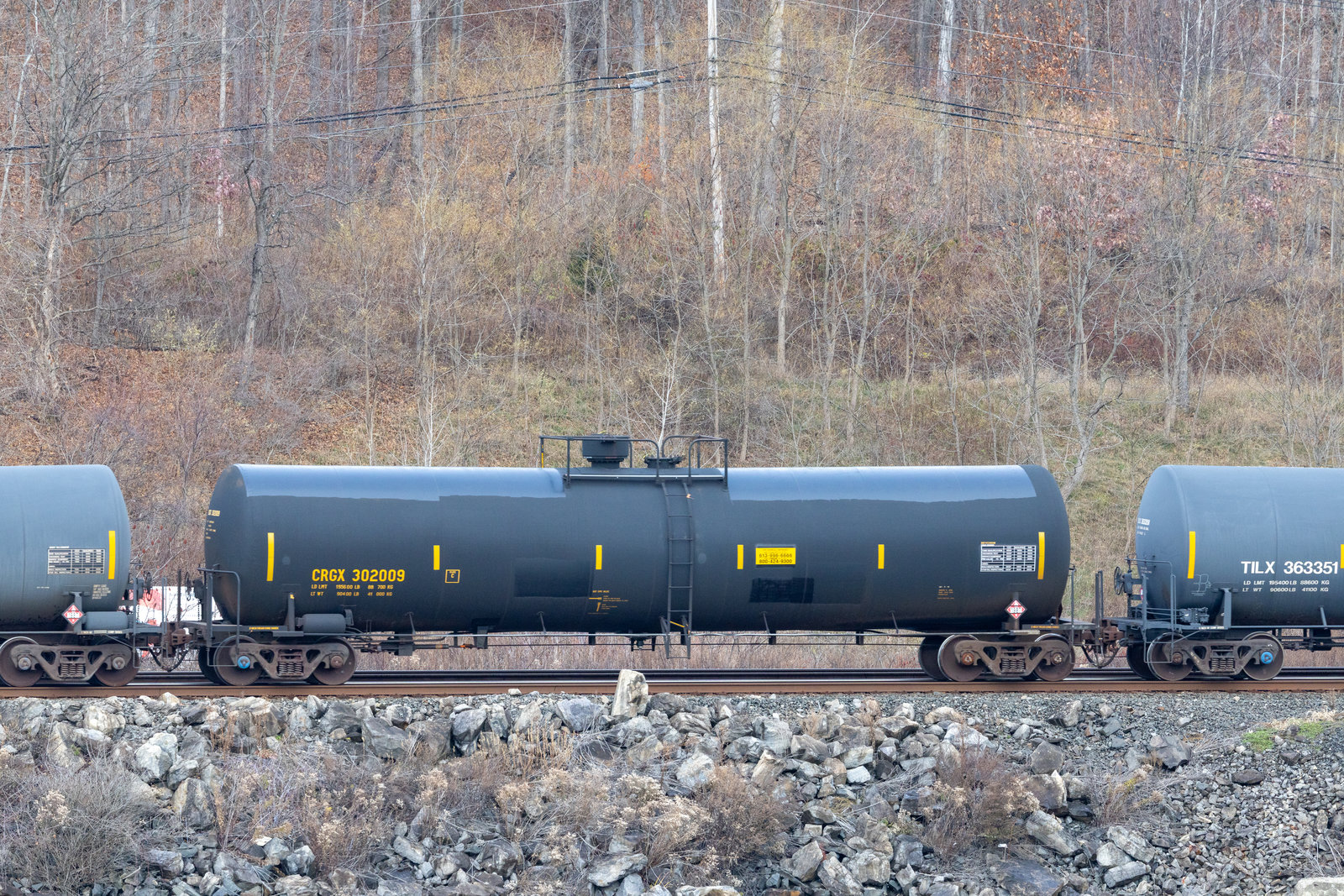 CRGX 302009