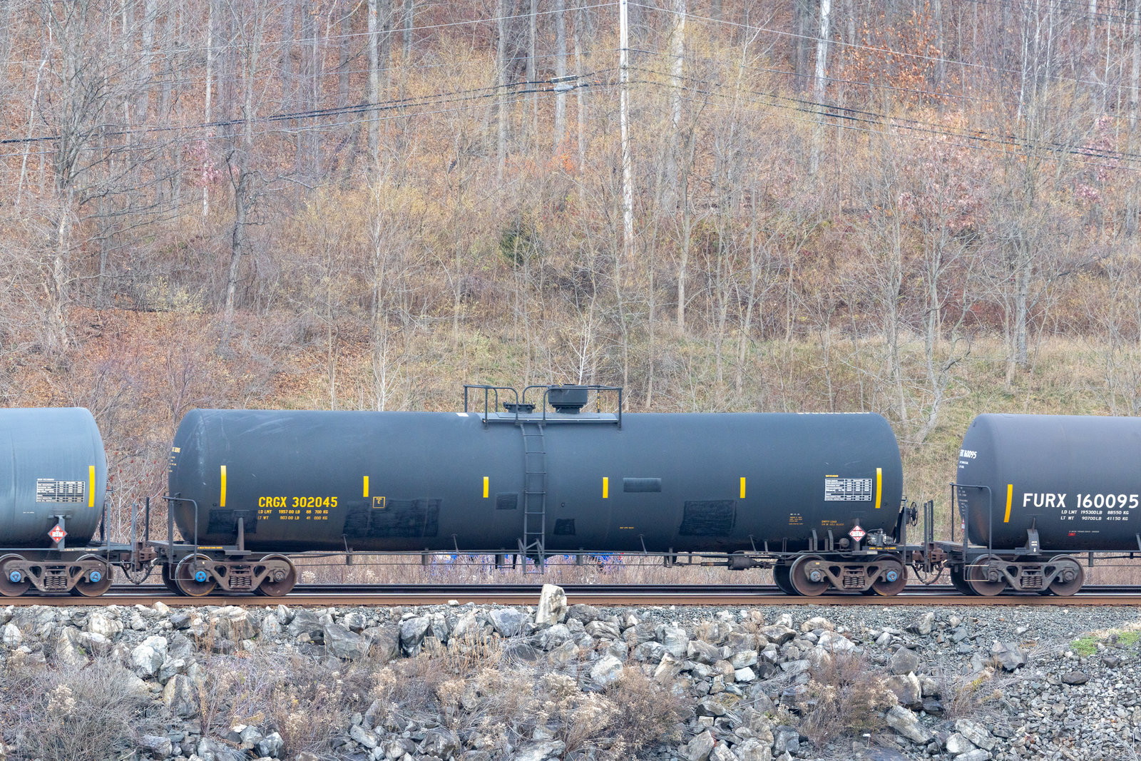 CRGX 302045