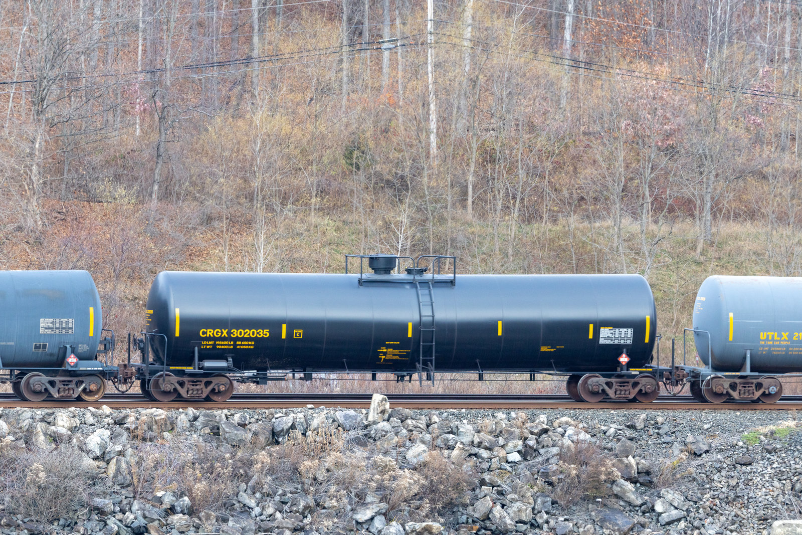 CRGX 302035