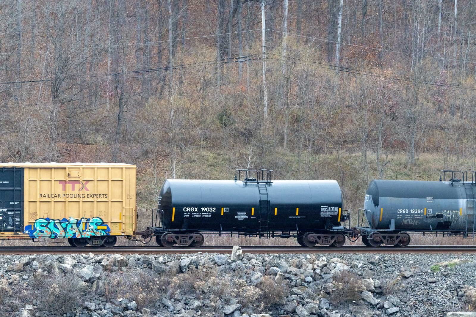 CRGX 19032