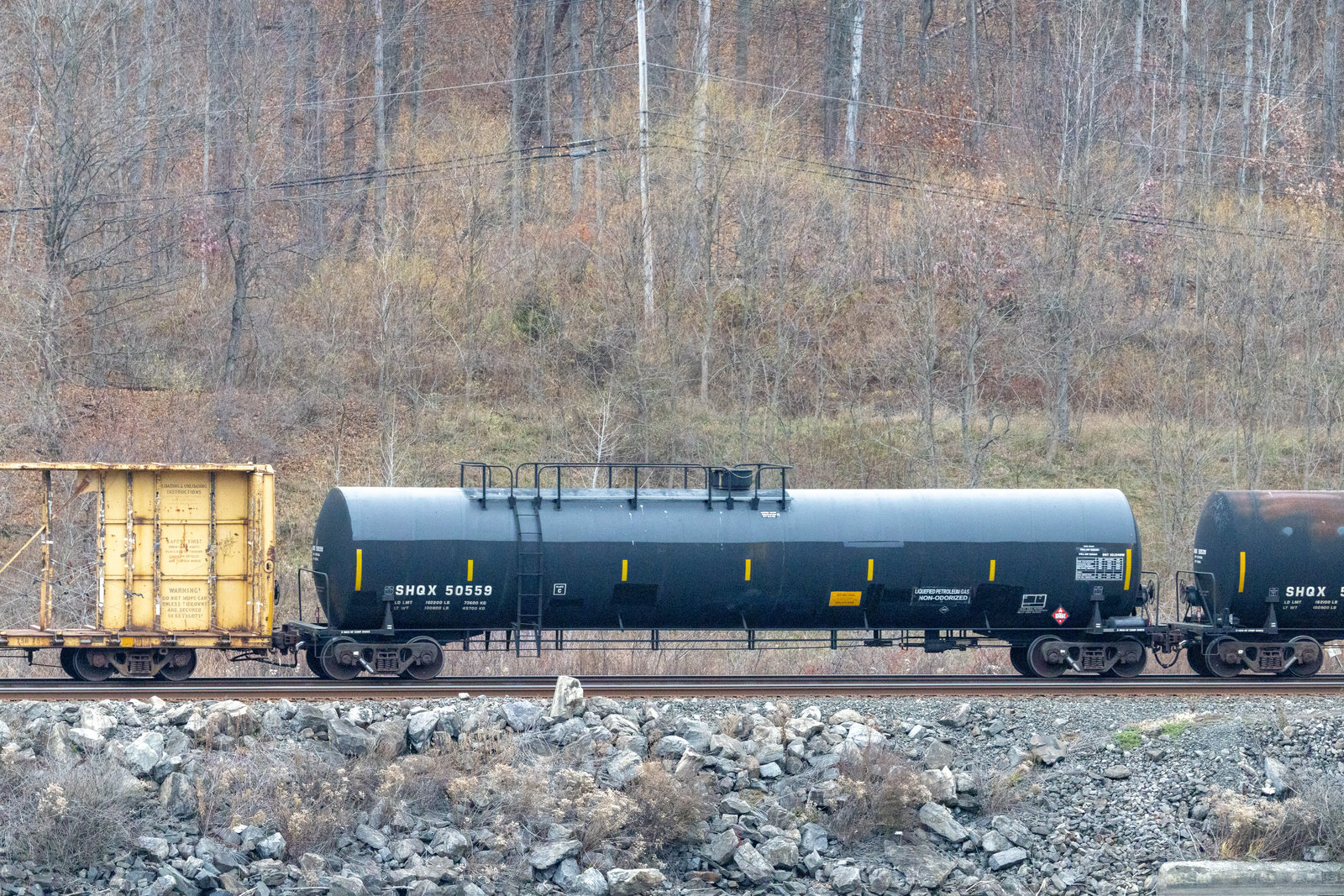 SHQX 50559