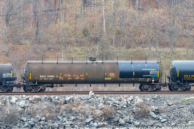 SRIX 33661