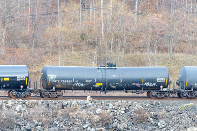 CBTX 736900