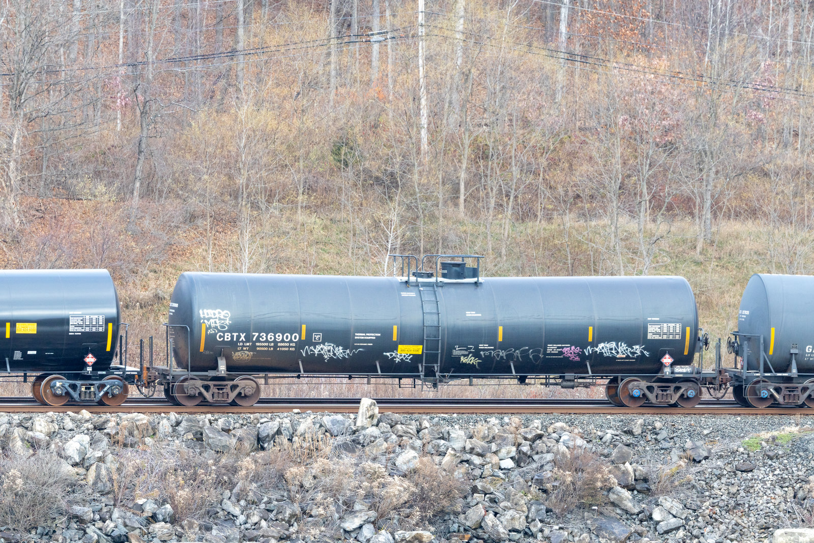 CBTX 736900