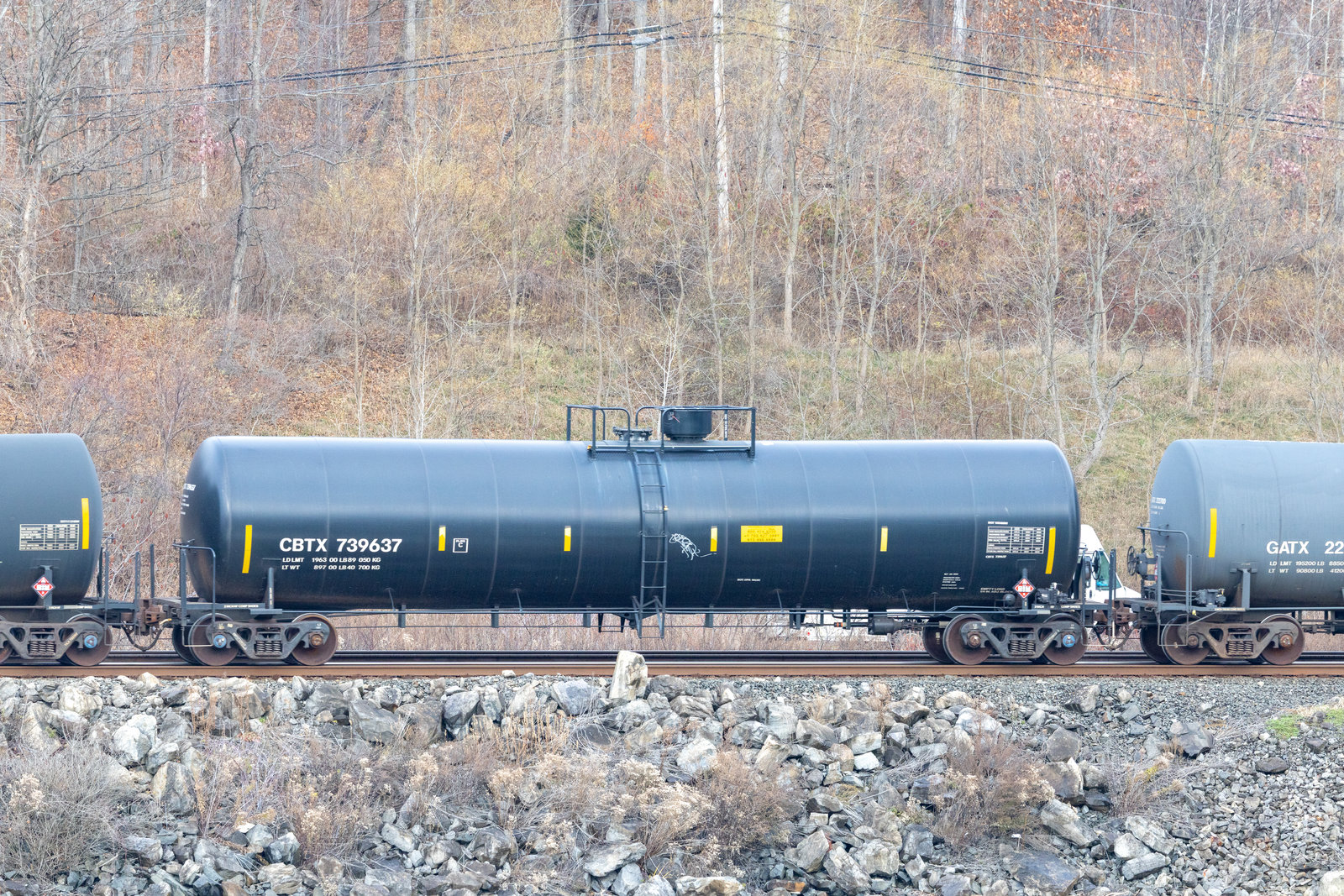 CBTX 739637