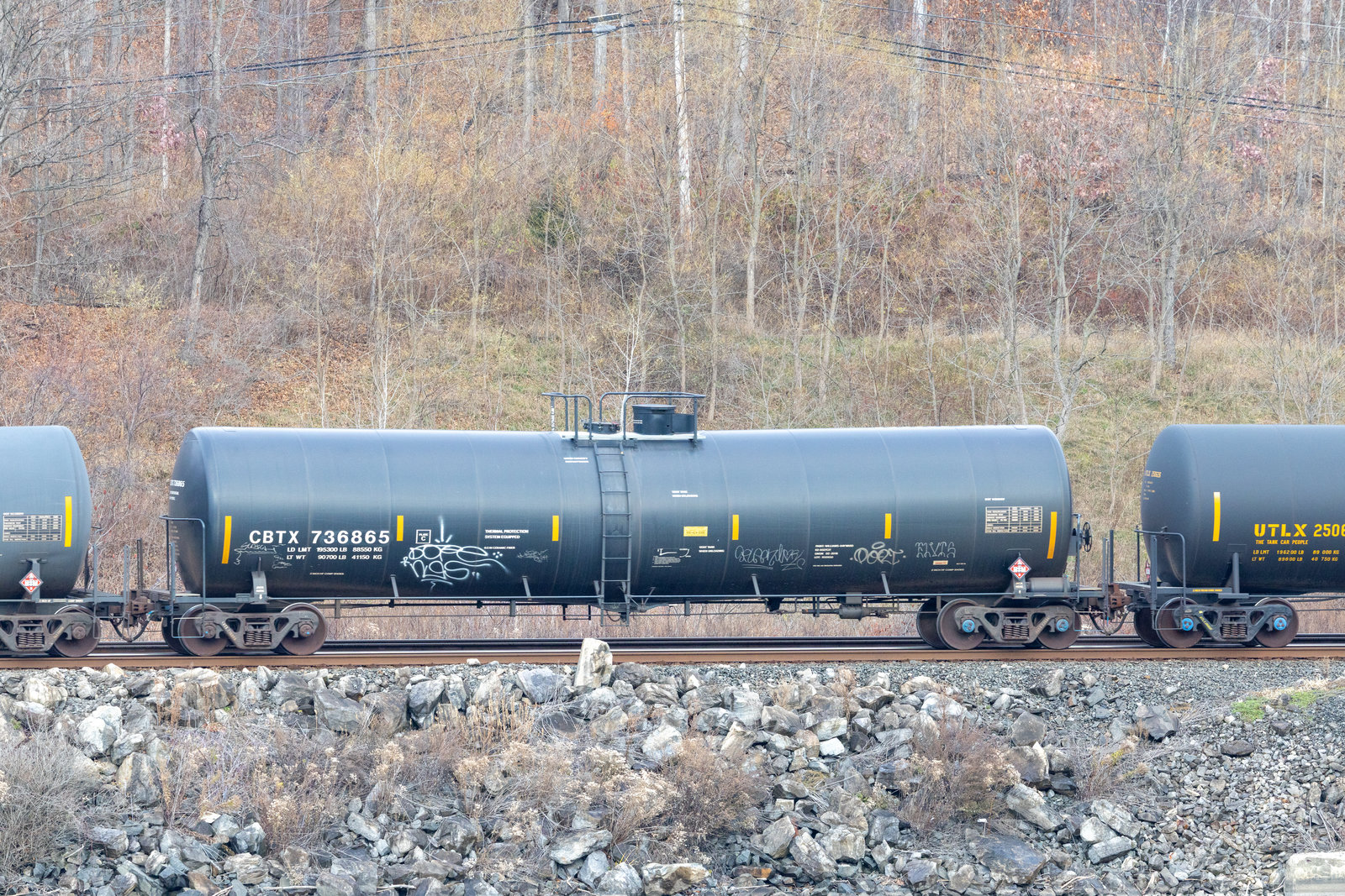 CBTX 736865