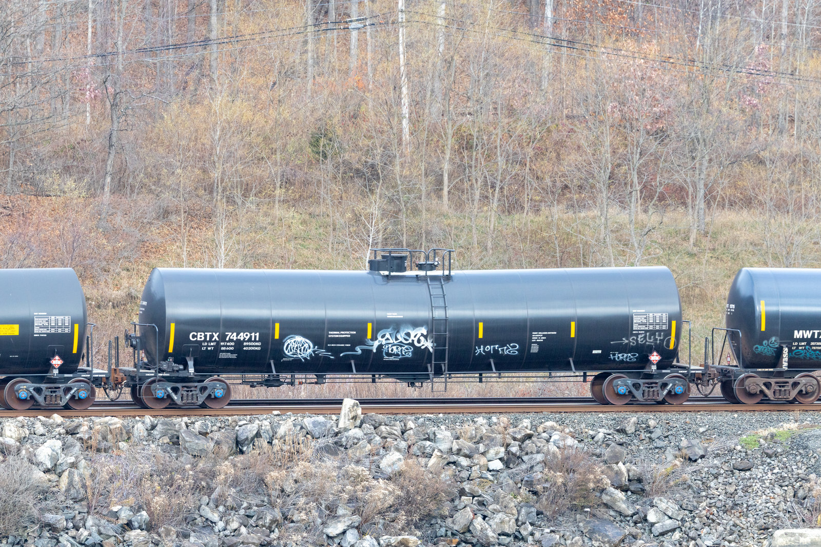 CBTX 744911