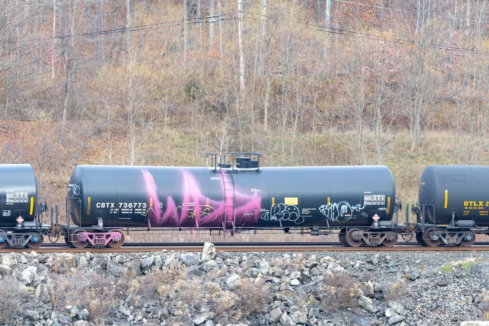 CBTX 736773