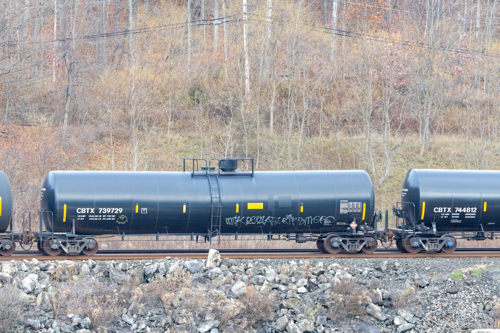 CBTX 739729