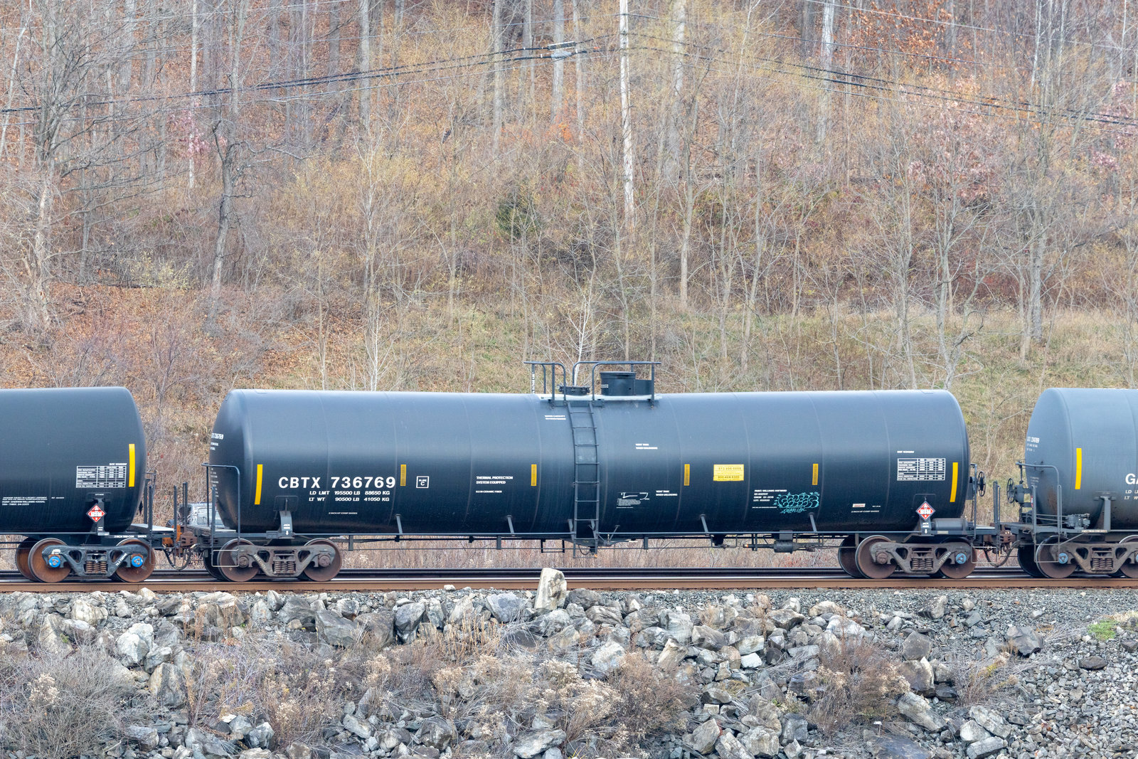 CBTX 736769