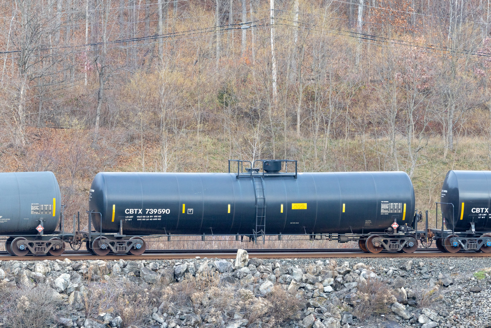 CBTX 739590