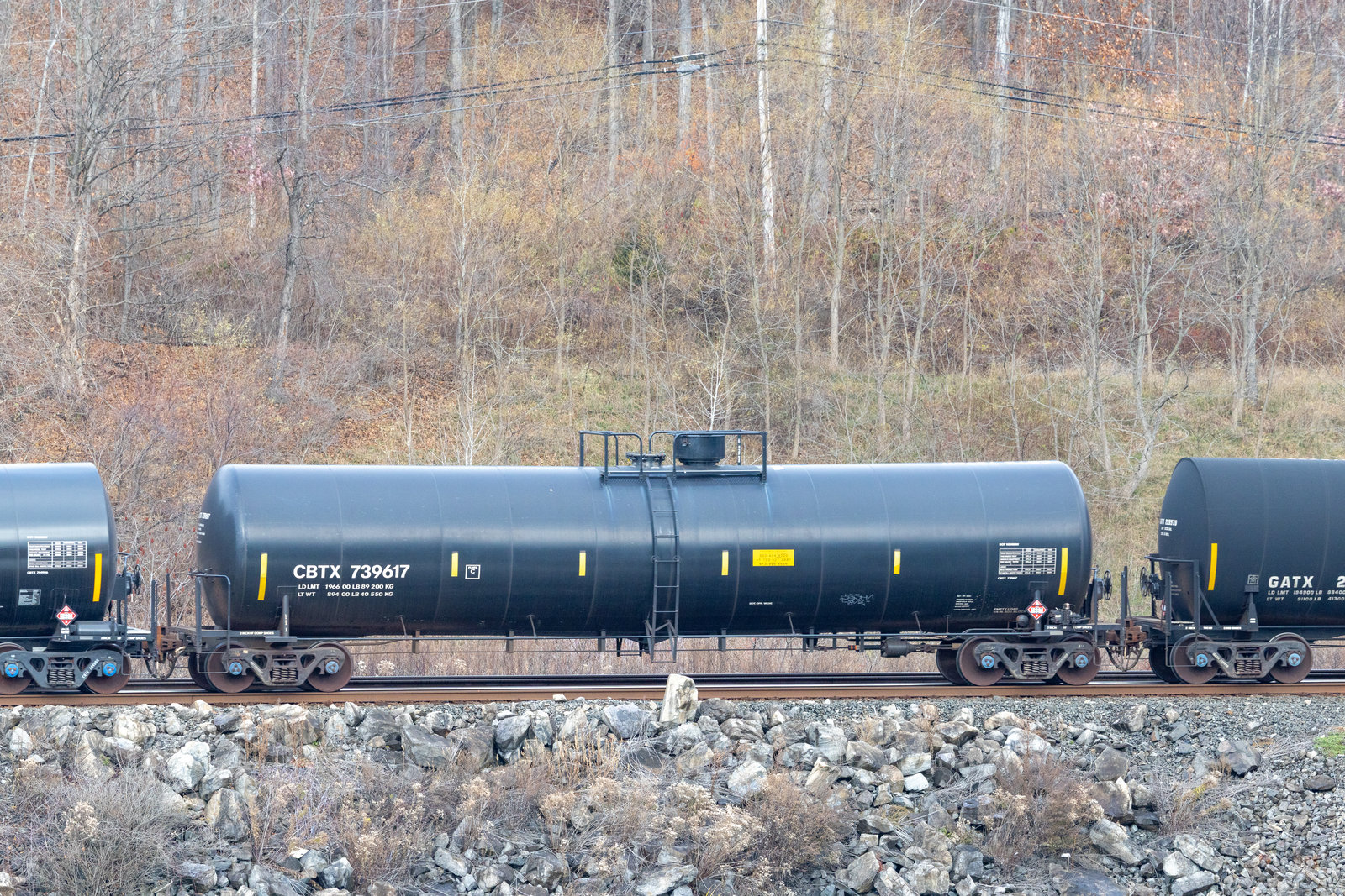 CBTX 739617